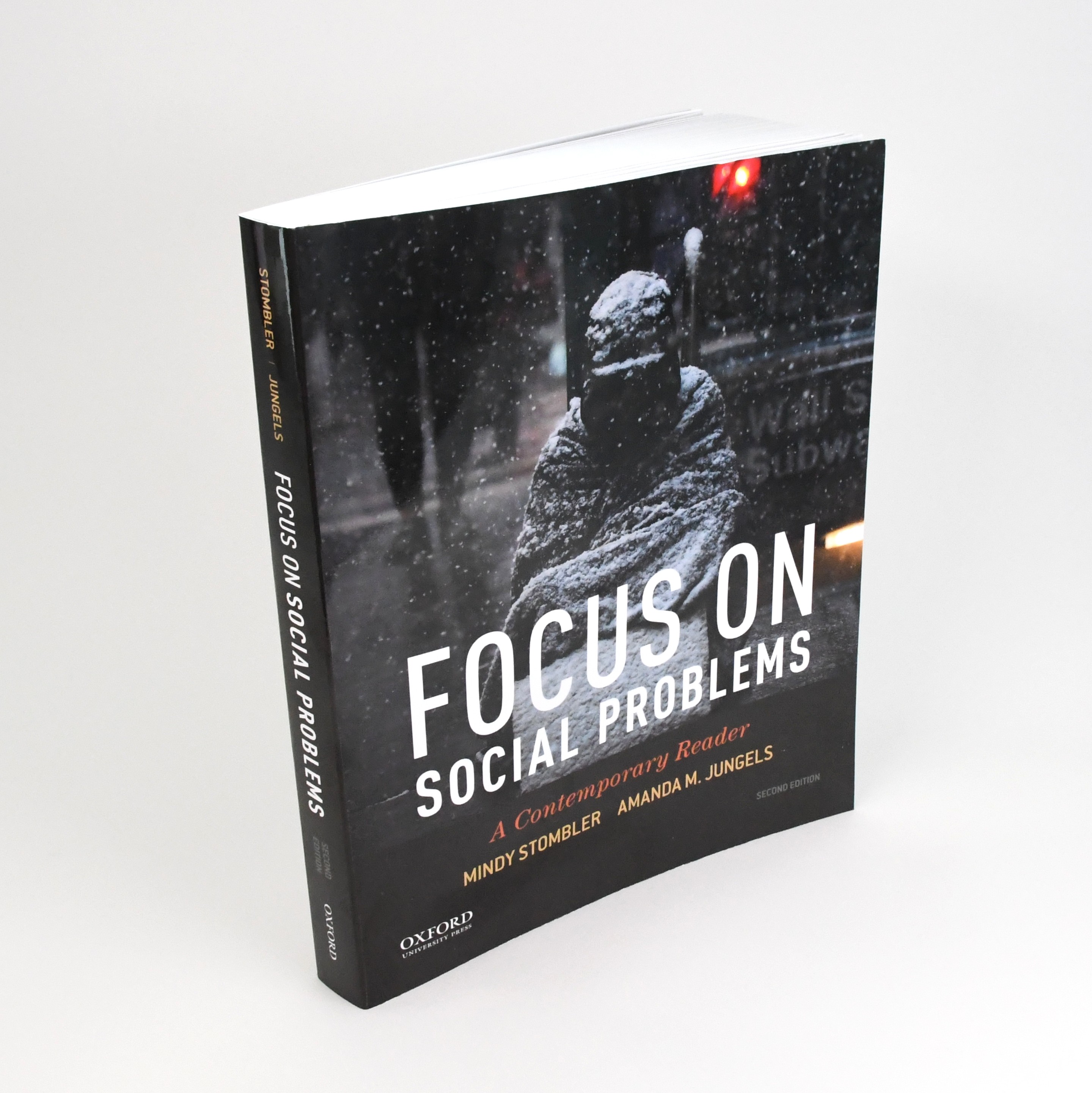 Focus on Social Problems, 2nd Edition Book